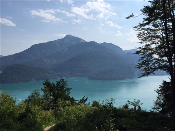 余教授奧地利鄉(xiāng)村行：萬科為什么說把奧地利小鎮(zhèn)搬回來？