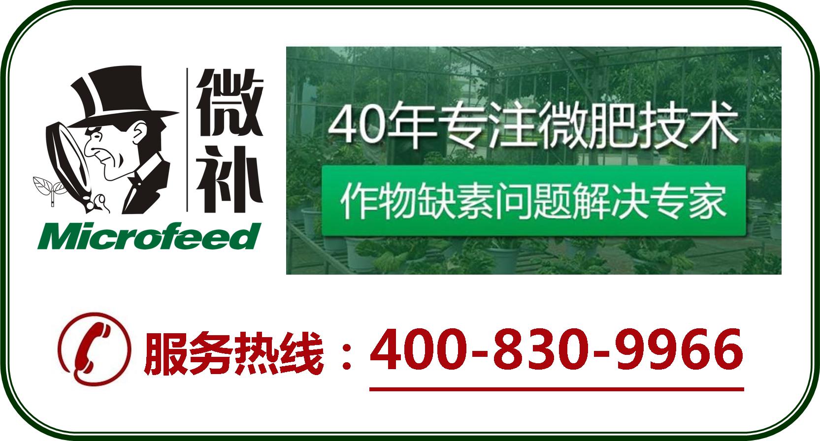 余教授德國(guó)鄉(xiāng)村行：摩澤爾河的葡萄魅力在哪兒？