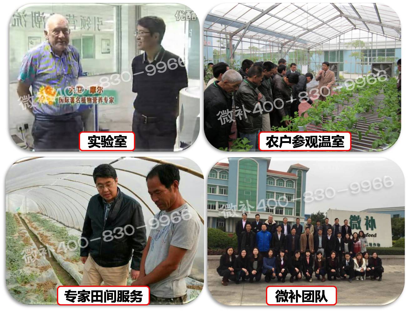 余教授奧地利維也納行：不懂音樂的農(nóng)民教授，在音樂之都的感受