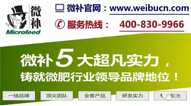 余教授奧地利維也納行：不懂音樂的農(nóng)民教授，在音樂之都的感受