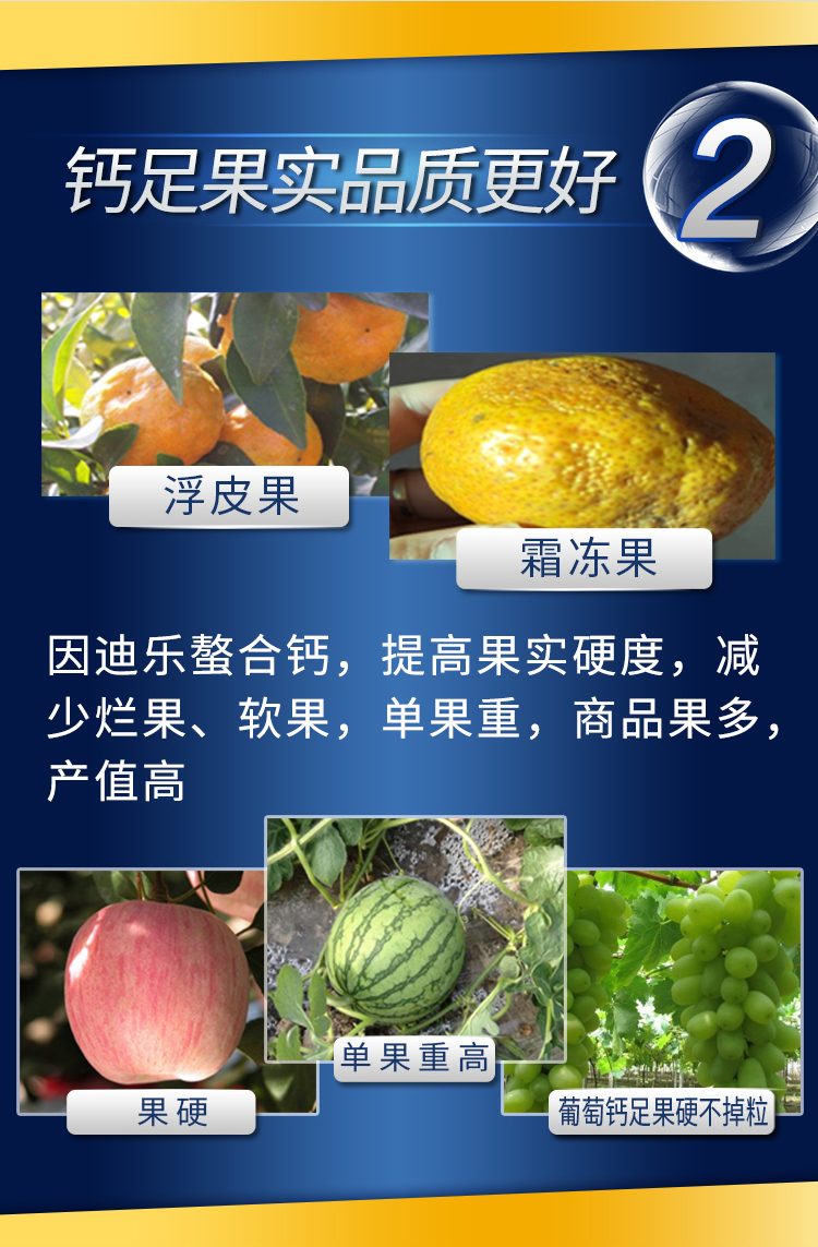 因迪樂(lè)有機(jī)螯合鈣_05.jpg
