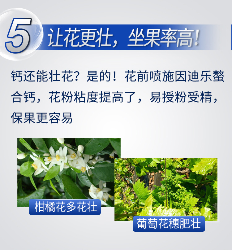 因迪樂(lè)有機(jī)螯合鈣_08.jpg