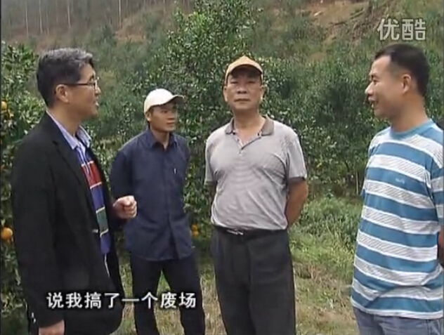 20160118珠江臺(tái)搖錢(qián)樹(shù)：貢柑用微補(bǔ)全年?duì)I養(yǎng)方案，黃樹(shù)翻身還高產(chǎn)增果