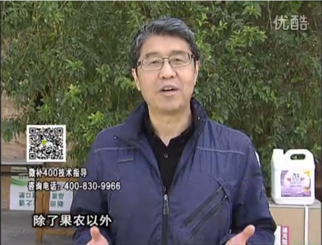 20160321珠江臺(tái)搖錢樹：柑橘用微補(bǔ)方案，百萬(wàn)收入不是夢(mèng)