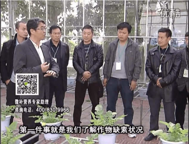 20160418珠江臺(tái)搖錢樹：和重慶種植業(yè)主走進(jìn)微補(bǔ)，探秘微補(bǔ)生產(chǎn)研發(fā)技術(shù)