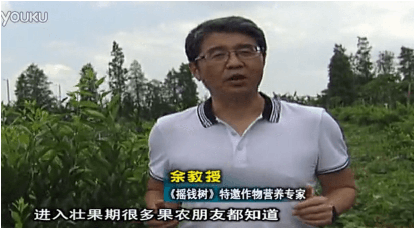 20160620珠江臺(tái)搖錢樹：柑橘淋微補(bǔ)調(diào)力、噴蓋力+壯力，調(diào)酸壯長(zhǎng)勢(shì)、膨果防裂好