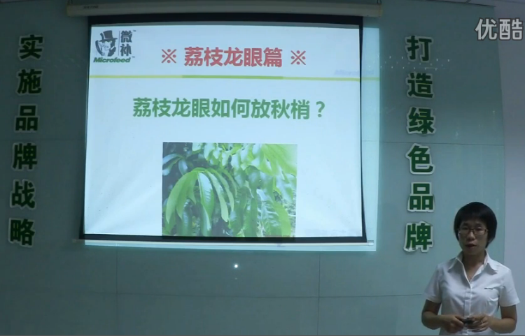 荔枝龍眼-采后樹(shù)弱、秋梢不壯怎么辦？請(qǐng)看微補(bǔ)講座