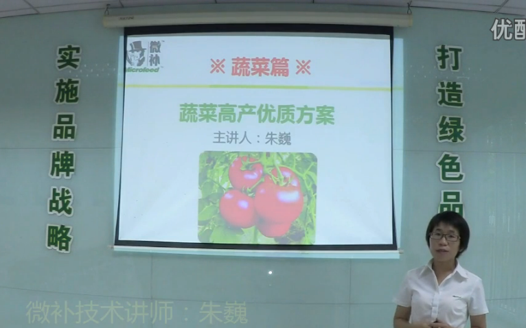 蔬菜-提苗壯長(zhǎng)、提高坐果高產(chǎn)方案.微補(bǔ)講座
