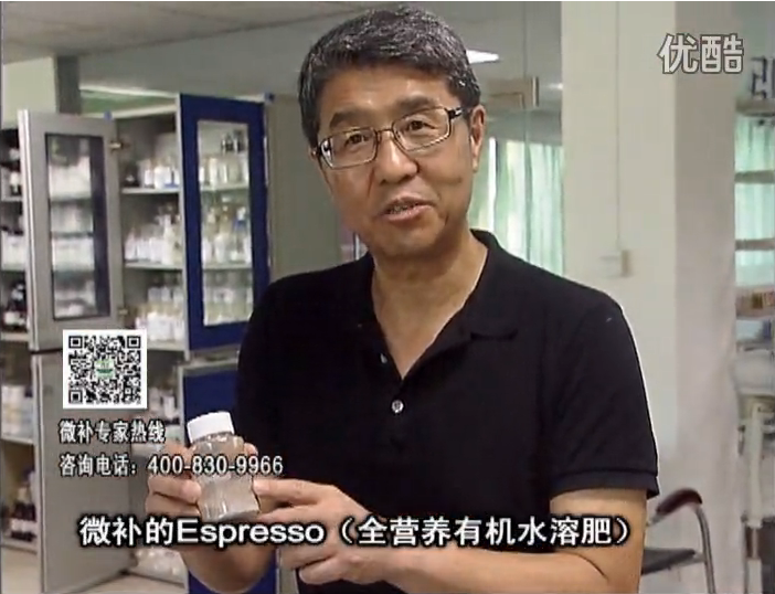 20160822珠江臺(tái)搖錢樹：柑橘秋梢淋沖因迪樂精華粉，補(bǔ)充有機(jī)營(yíng)養(yǎng)，健壯果樹