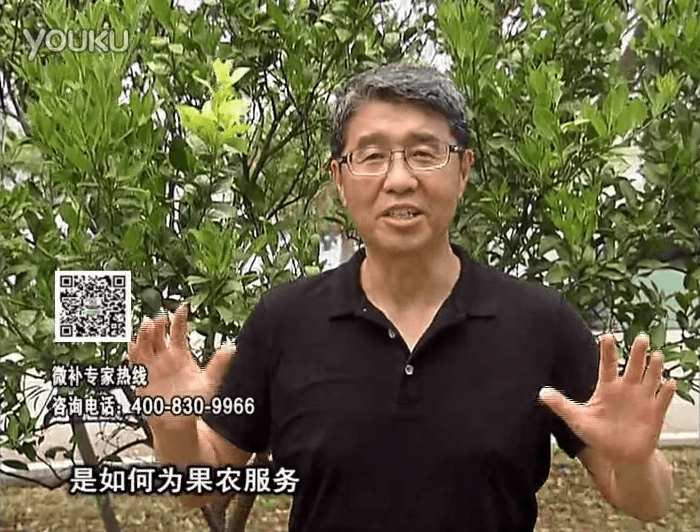 20160912珠江臺搖錢樹：針對果場面積、缺素營養(yǎng)、設(shè)施管理、投入產(chǎn)出，微補做個性化定制服務