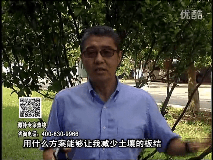 20161031珠江臺搖錢樹：減少化肥使用量、土壤少板結(jié)有辦法