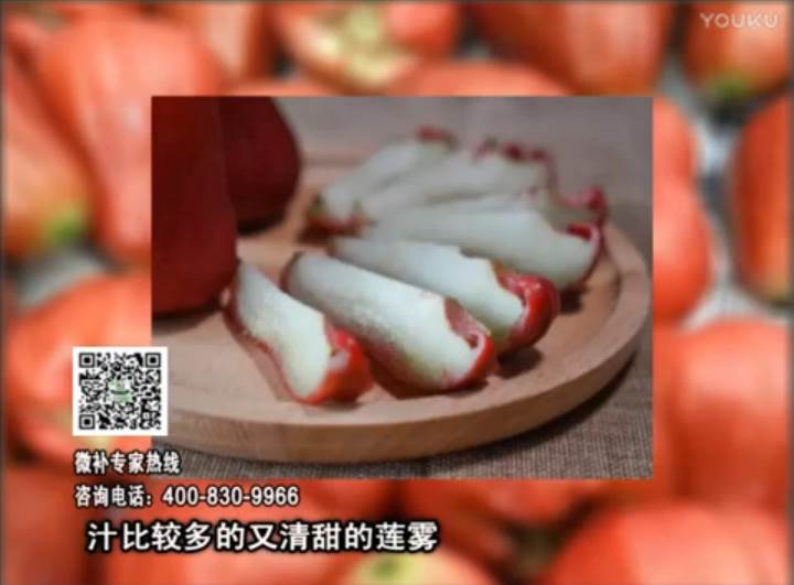 20170424珠江臺搖錢樹：蓮霧淋沖微補水肥，壯長、提高果實品質(zhì)賣價
