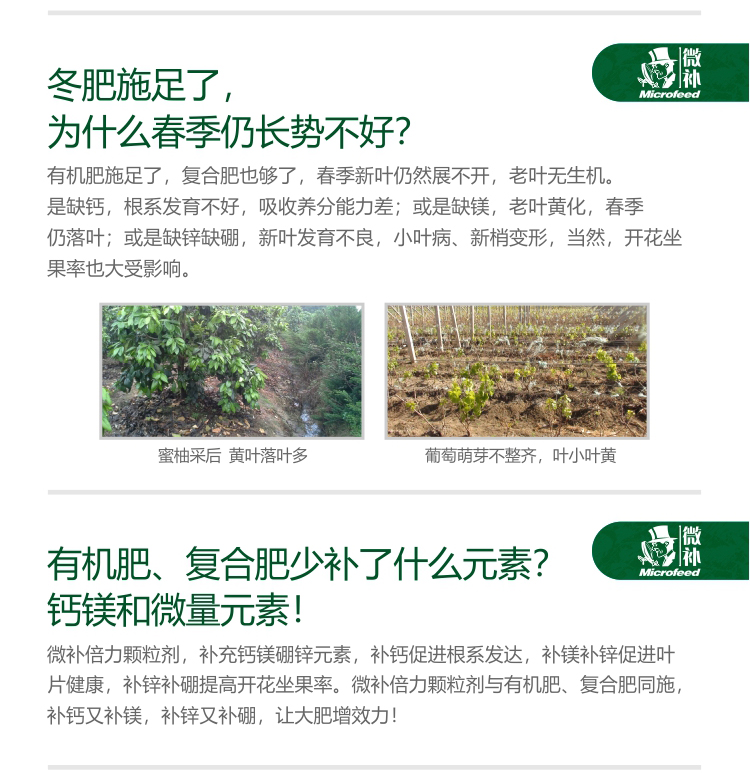 微補倍力