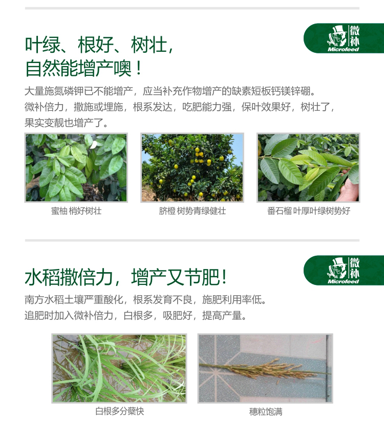 微補倍力