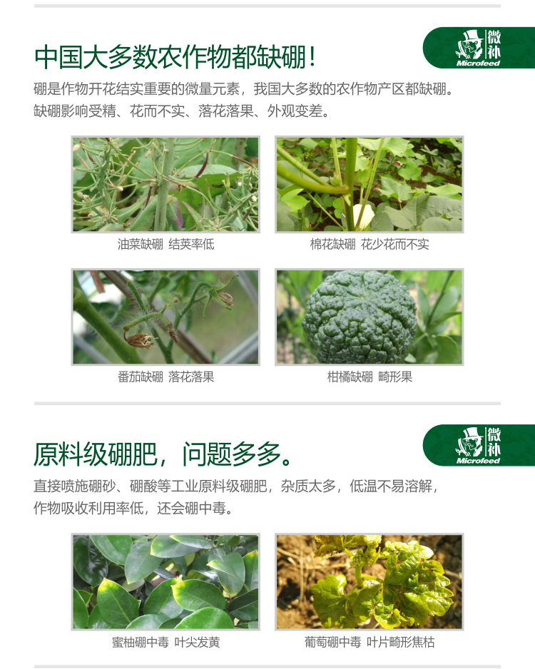 微補(bǔ)硼力