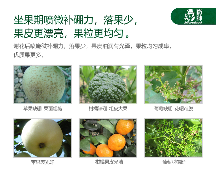微補(bǔ)硼力