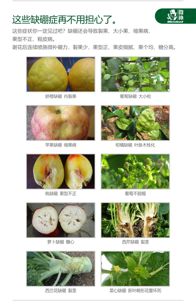 微補(bǔ)硼力
