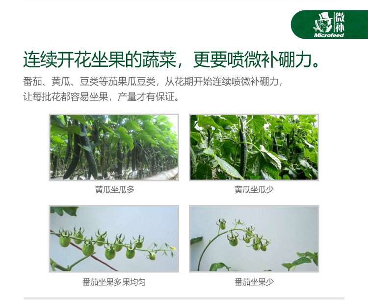 微補(bǔ)硼力