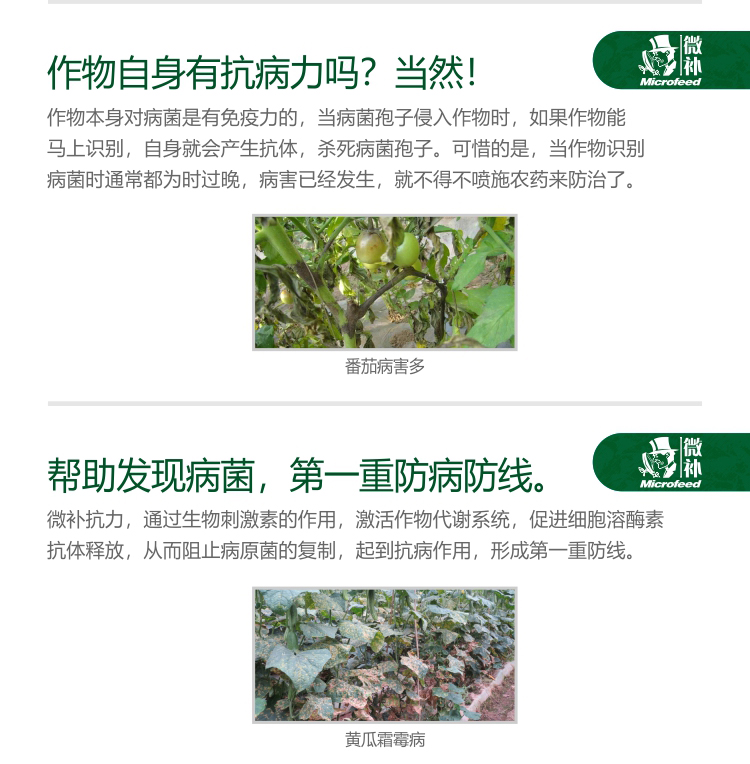 微補抗力2