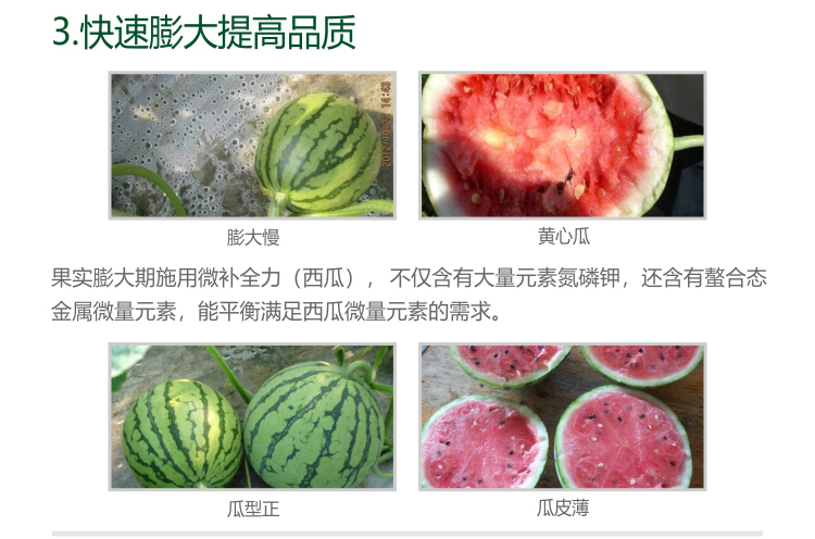 微補(bǔ)西瓜全力