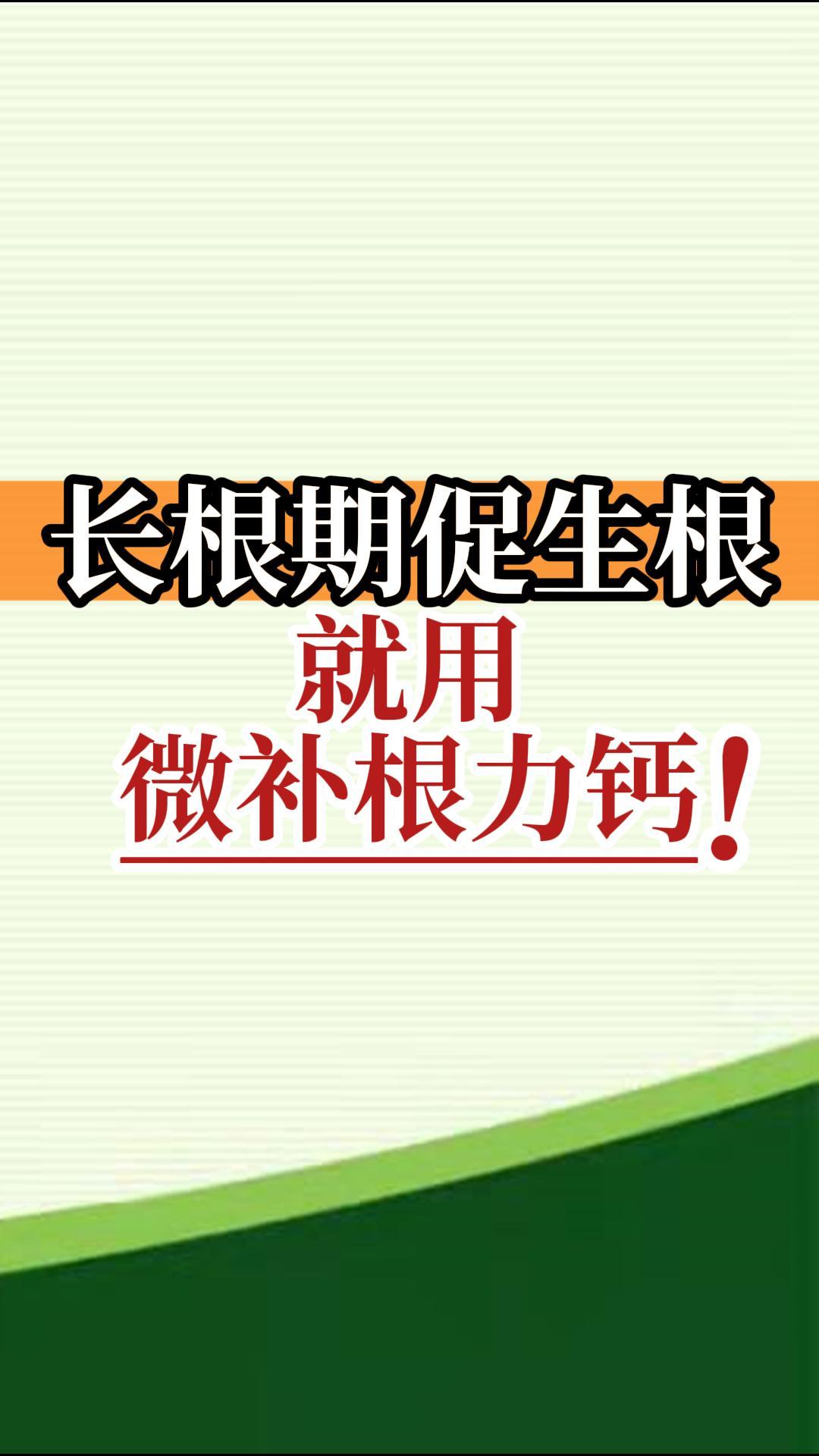 長根期促生根就用微補(bǔ)根力鈣！