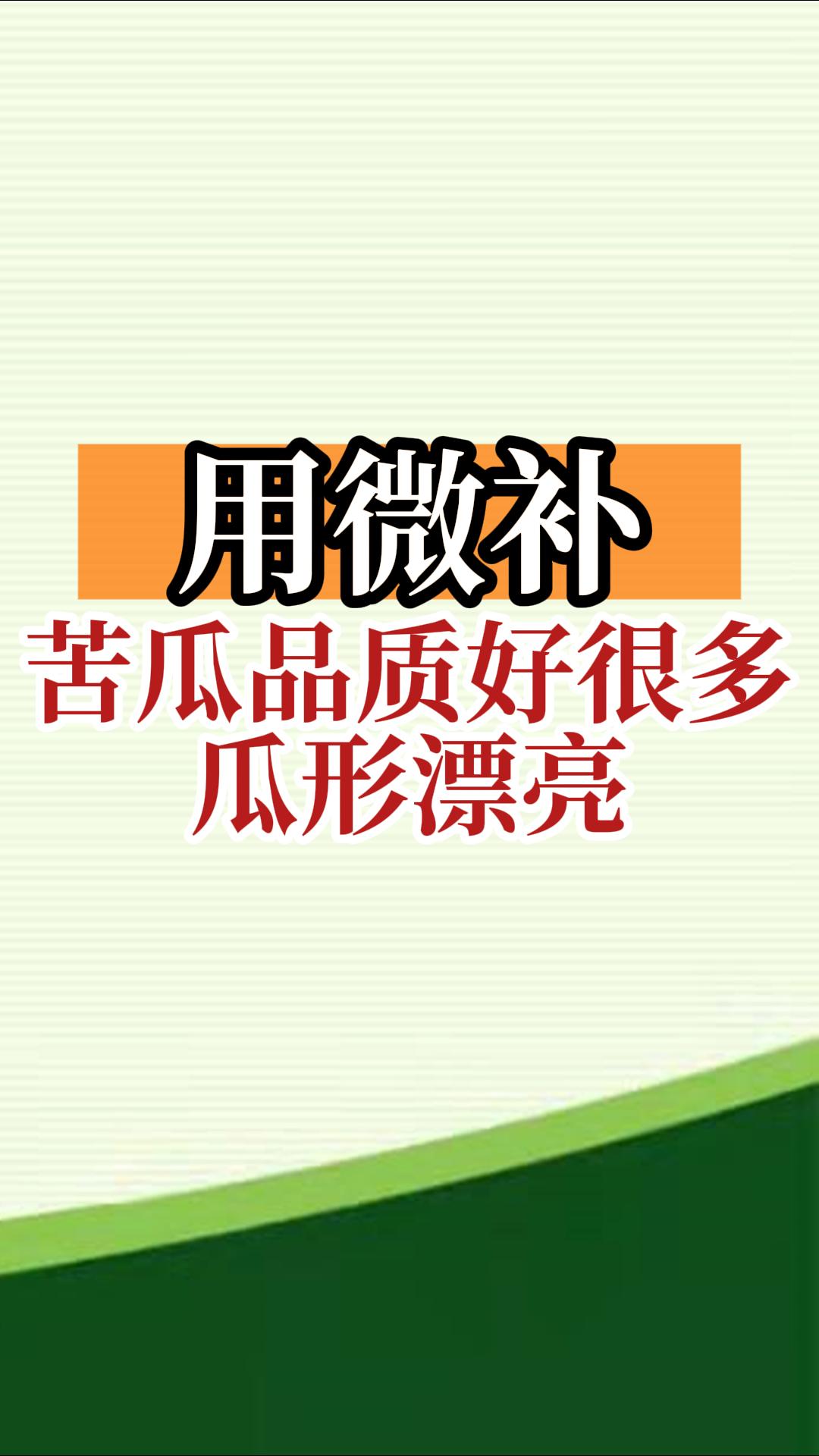 用微補，苦瓜品質(zhì)好很多，瓜形漂亮