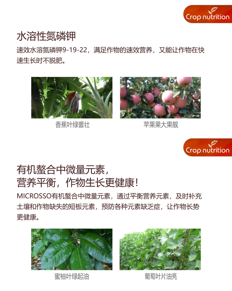 因迪樂水溶肥9-19-22