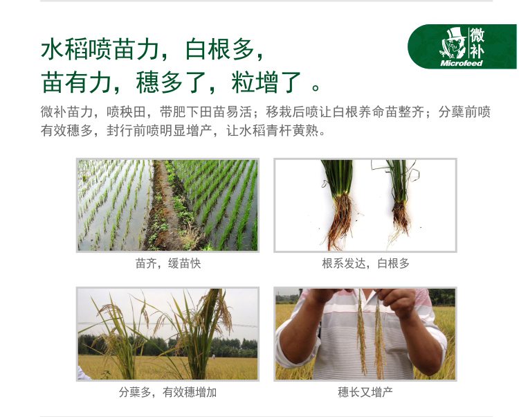微補苗力