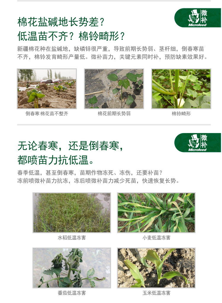 微補苗力