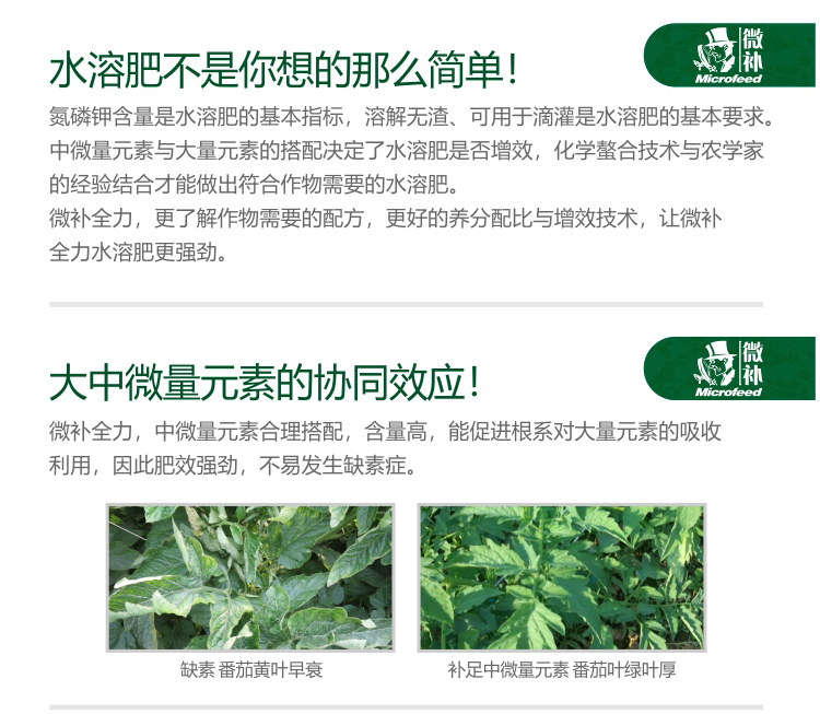 微補(bǔ)全力