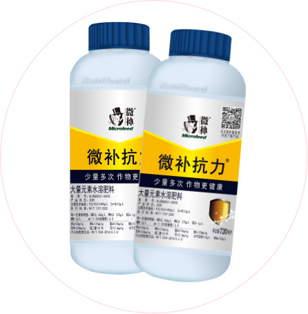 如何做好冬季清園，減少來年病蟲害影響