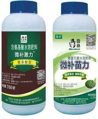 讓作物安全過冬的實用小妙招，速看