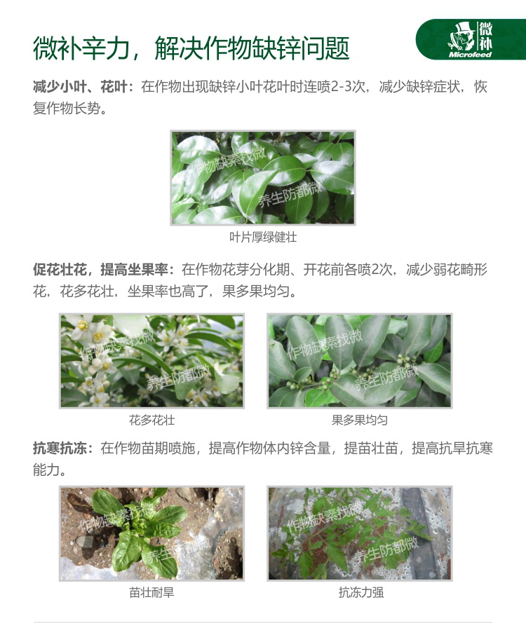 微補辛力
