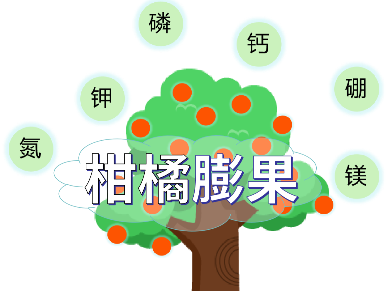 柑橘<i style='color:red'>膨果</i>慢？找準(zhǔn)原因，“對癥下藥”